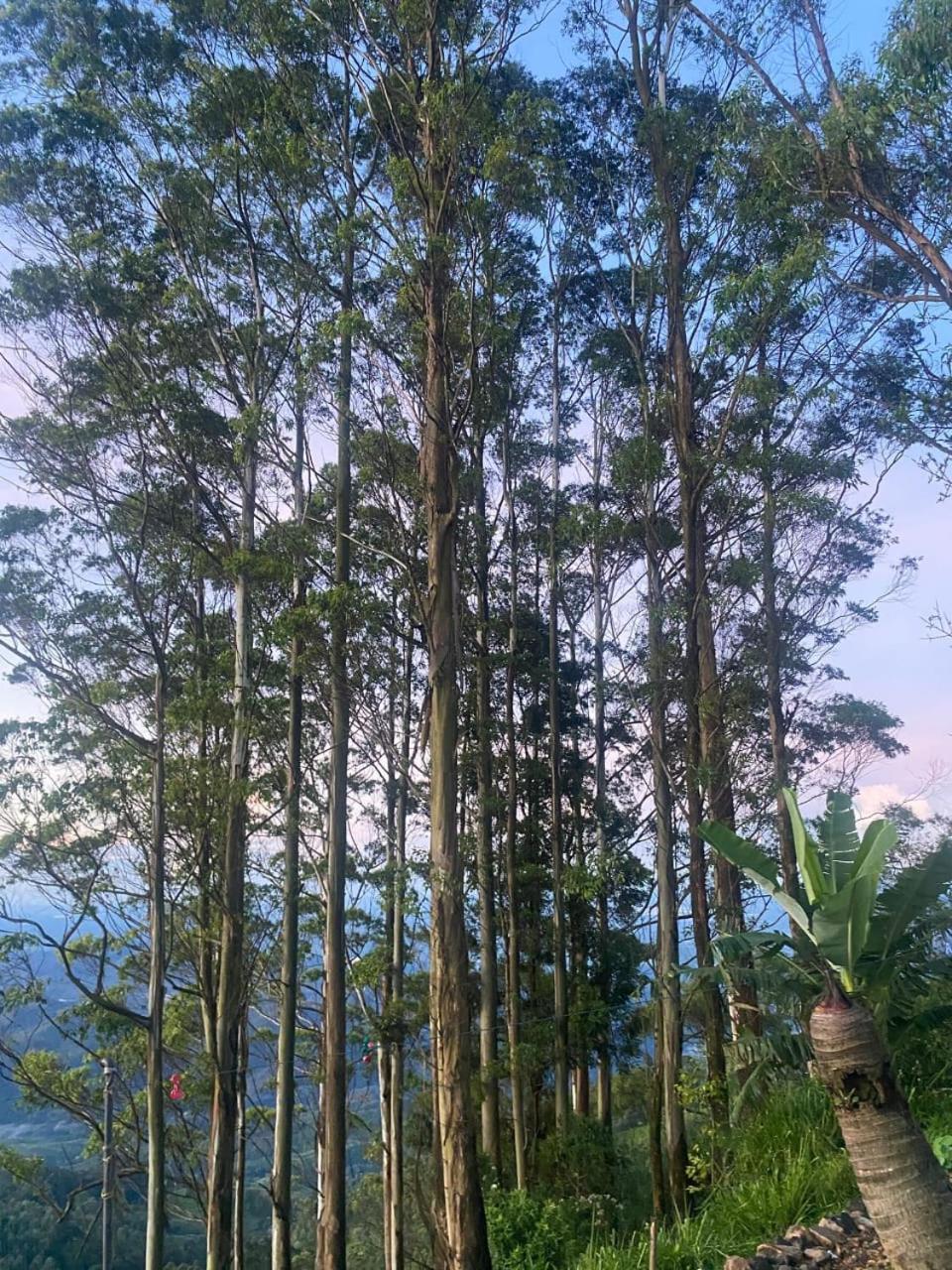 Bel View Guest House Haputale Exterior photo